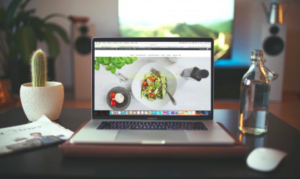 wordpress programmør