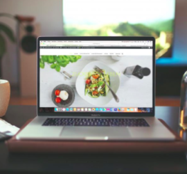 wordpress programmør
